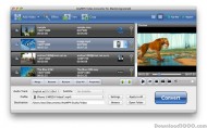 AnyMP4 Video Converter for Mac screenshot